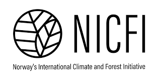 logo nicfi