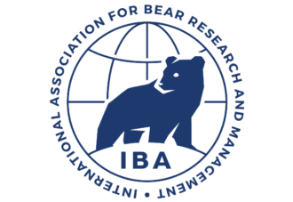 Logo IBA (1)