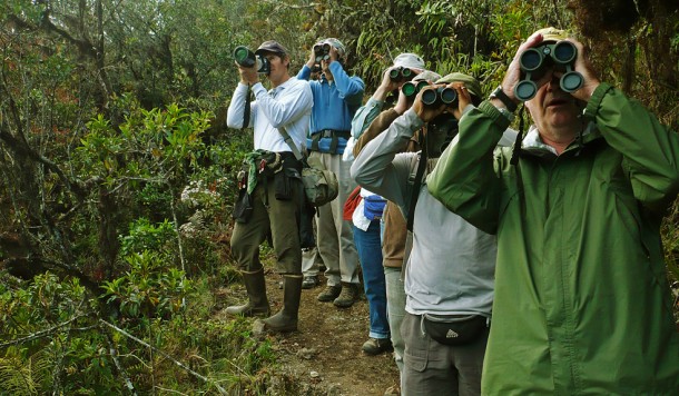Observadores de aves - foto por Daniel Huamán